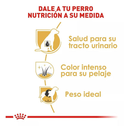Royal Canin Mini Schnauzer 4.5Kg.