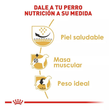 Royal Canin Pug Adulto 4.5Kg.