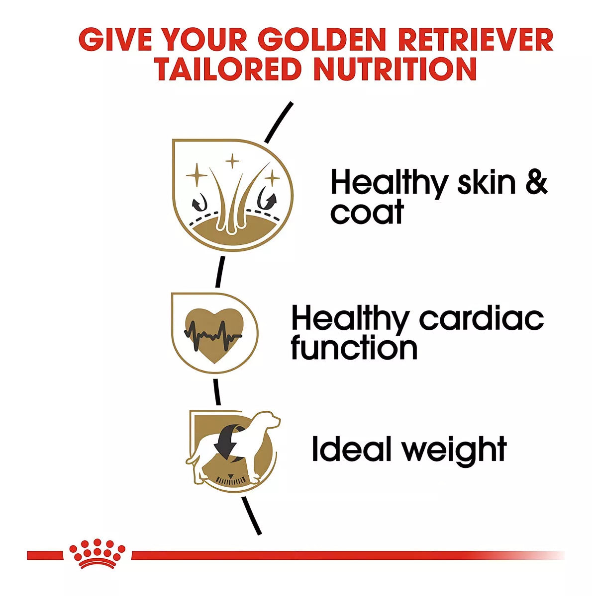 Royal Canin Breed Health Nutrition Golden Retriever Perro Adulto 13Kg.