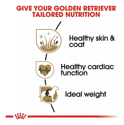 Royal Canin Breed Health Nutrition Golden Retriever Perro Adulto 13Kg.