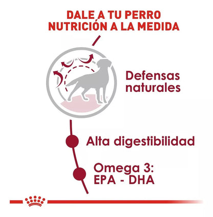 Royal Canin Medium Adult 13.6 Kg.